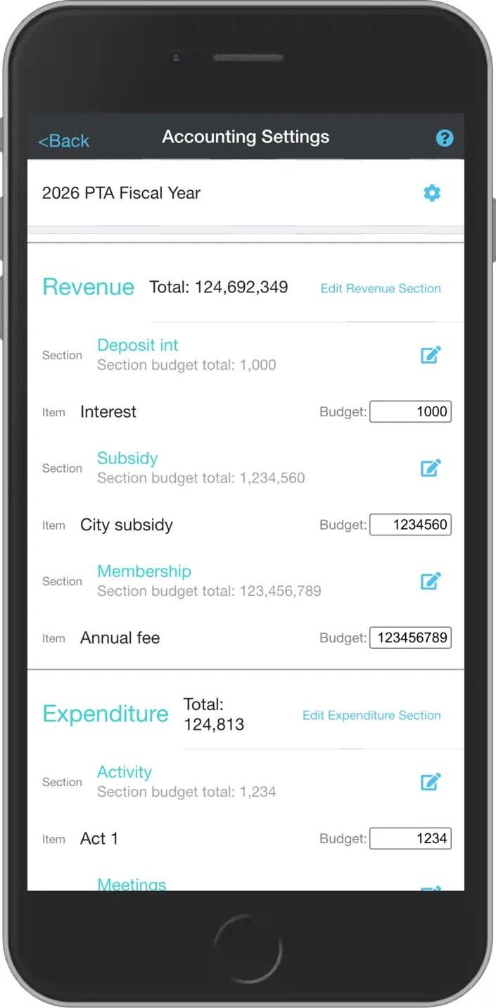 Accounting fiscal year registration screen